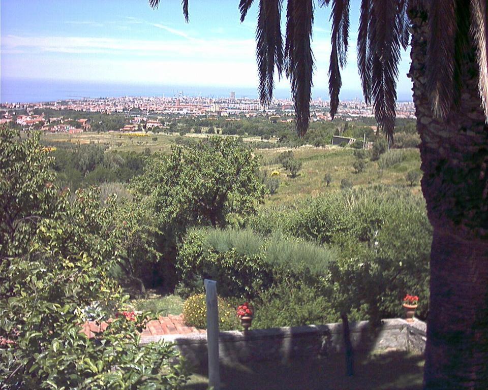 B&B Villa Panicucci Livorno Zimmer foto